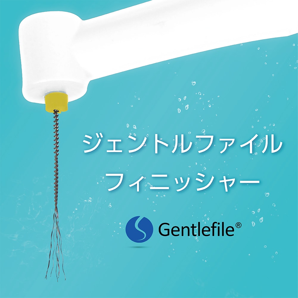 ジェントルファイル